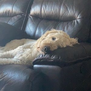 Meet your Posher, Jayda